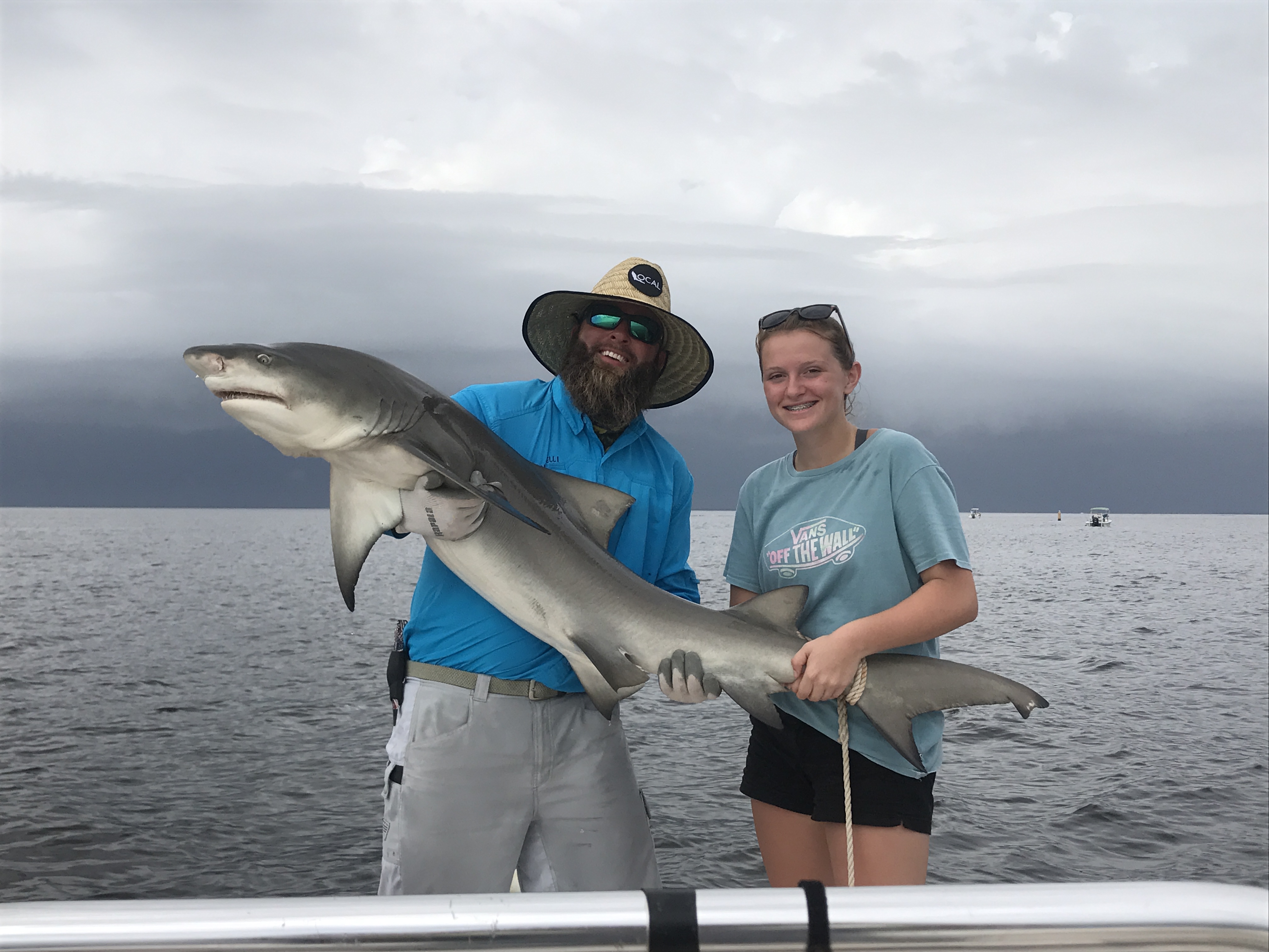 Lemon Shark