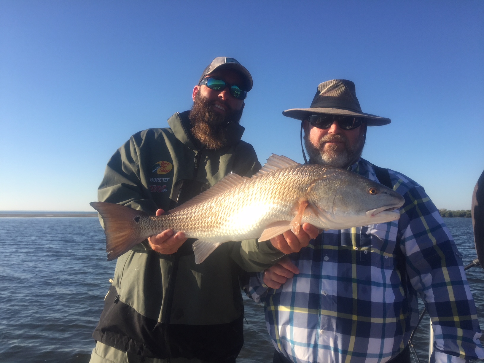 Redfish 