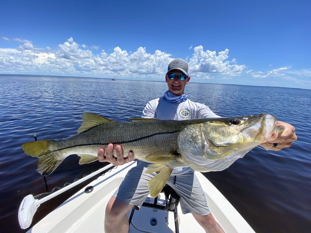 Back Country Snook